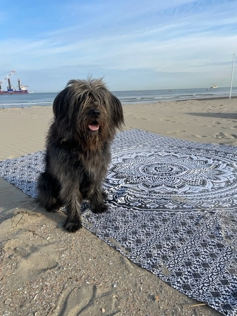 2-persoons strandlaken zwart:wit