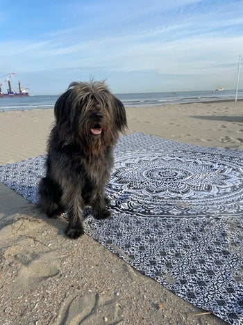XXL Strandhanddoeken